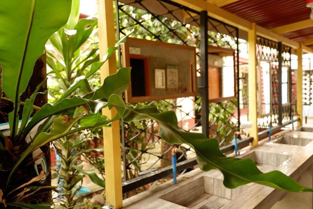 Tropical Breeze Hostel Cebu - Cebu Center 외부 사진